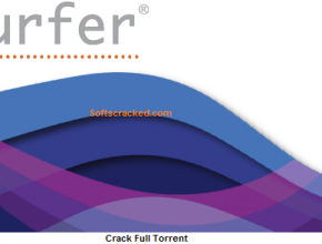 Surfer Crack